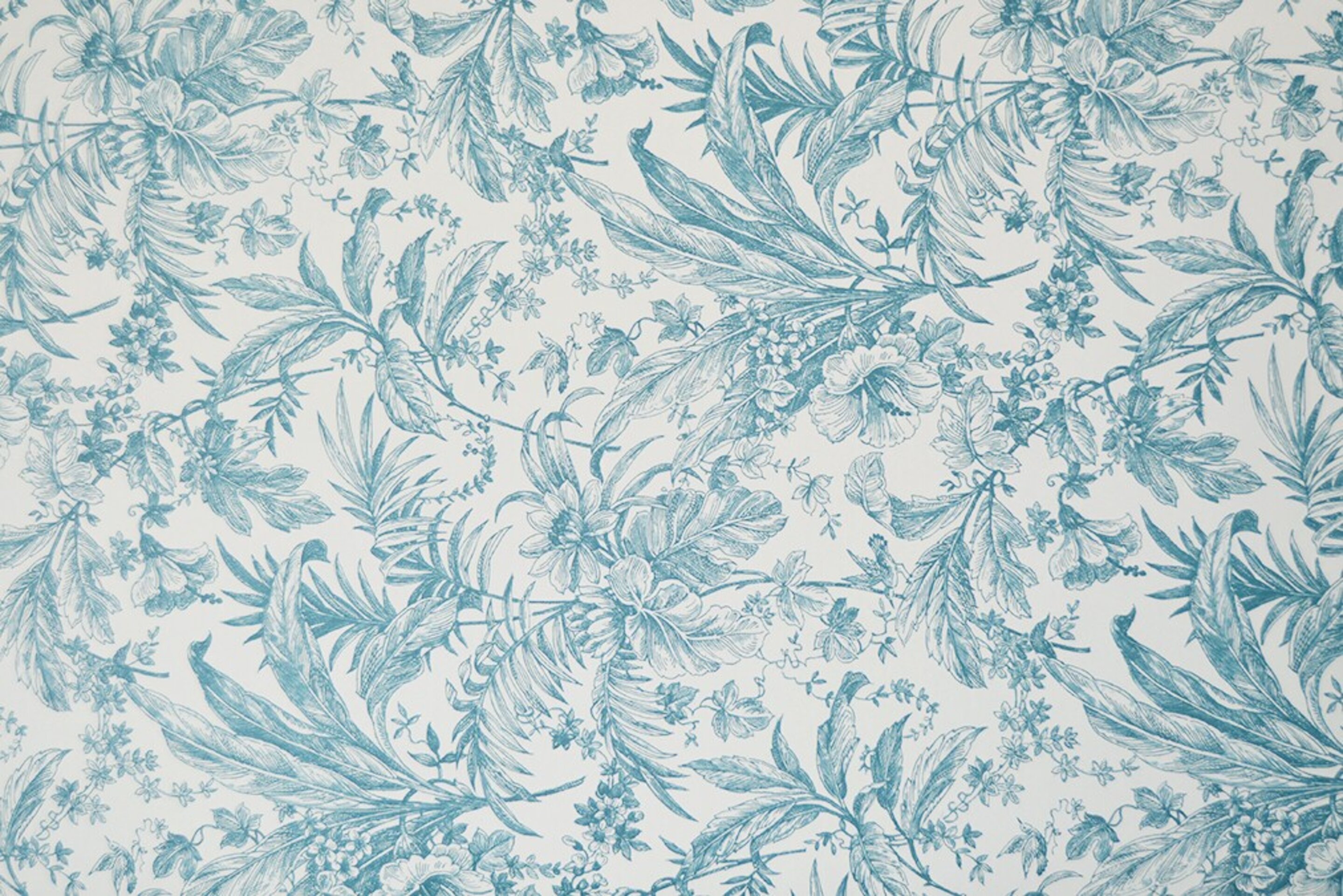 Papel Maldivas - 2