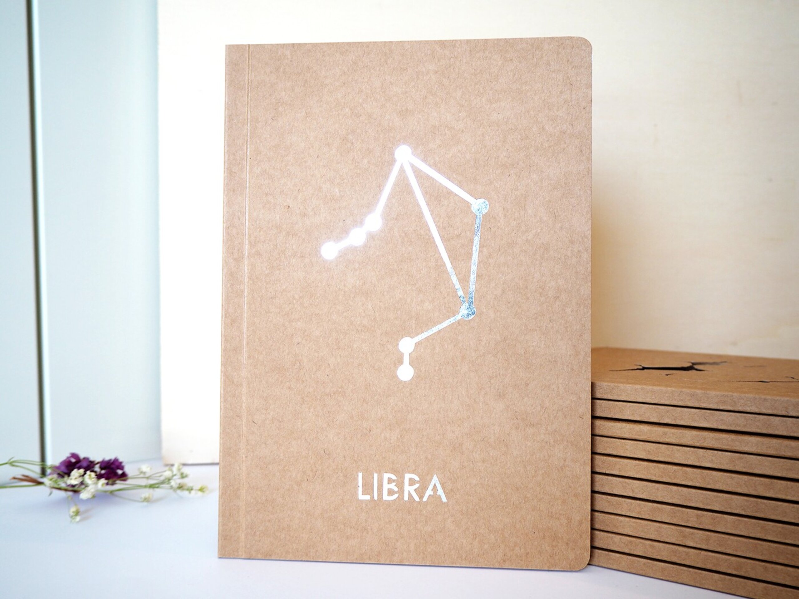 Libretas constelaciones - 10