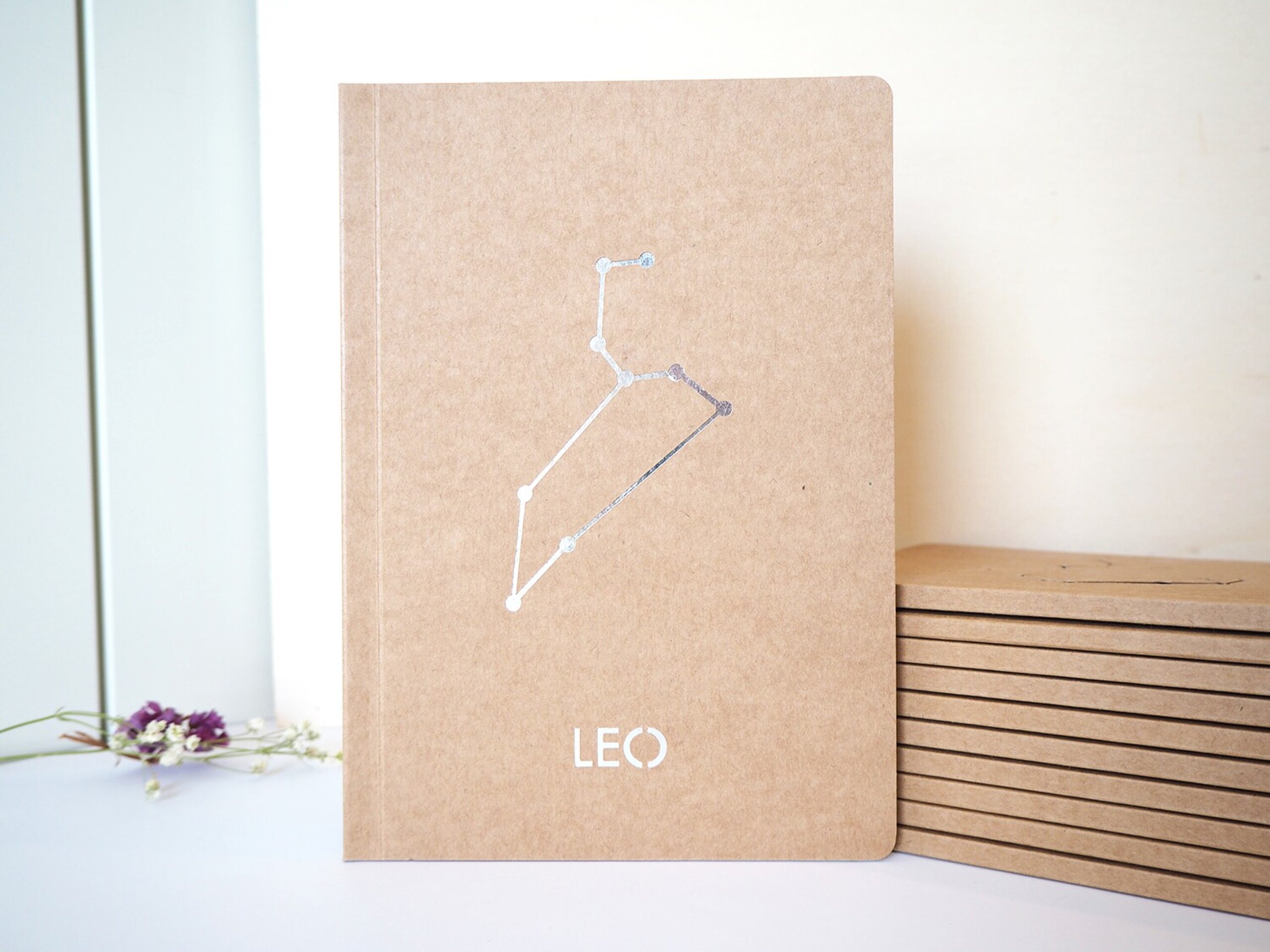 Libretas constelaciones - 16