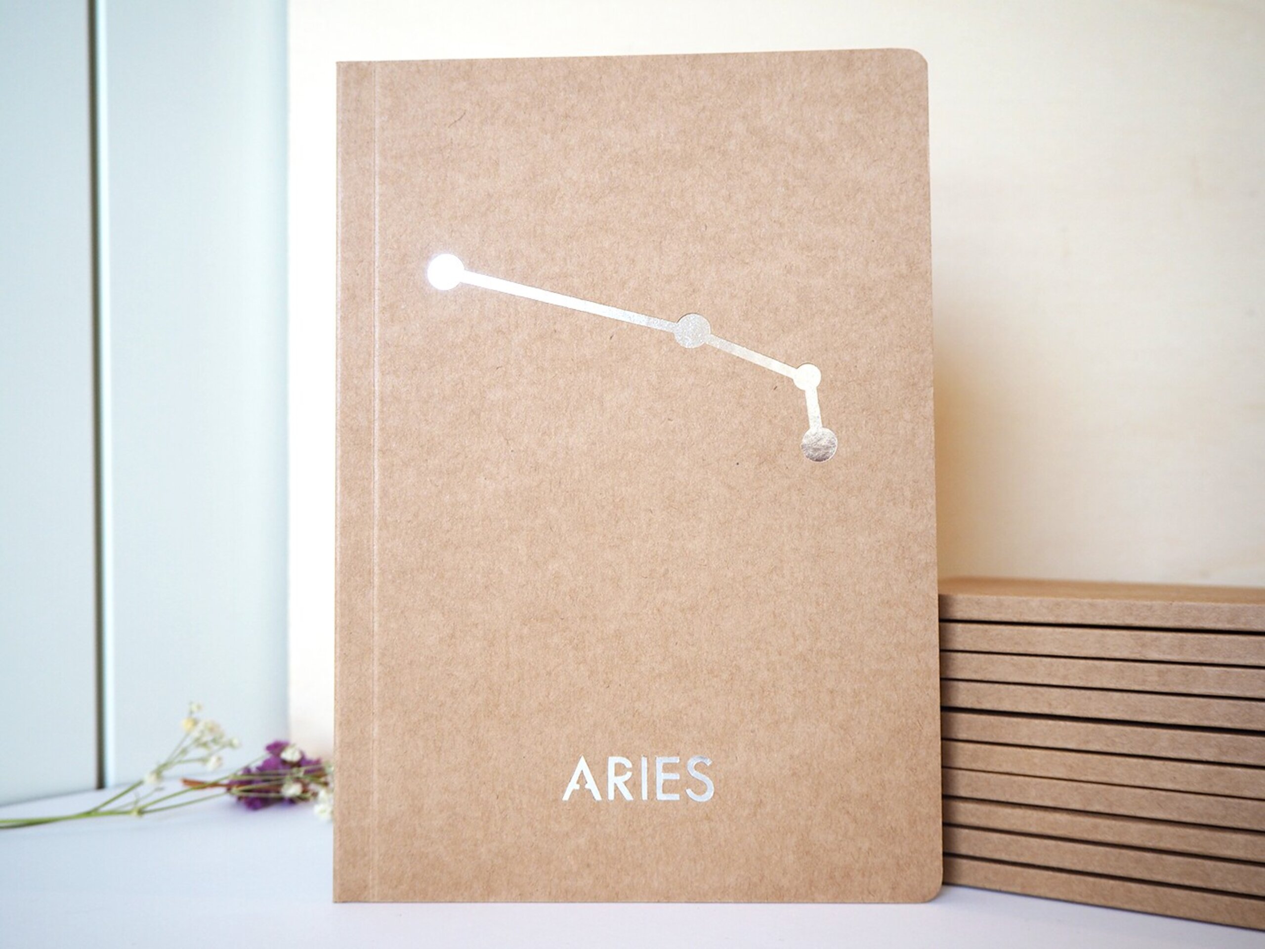 Libretas constelaciones - 2