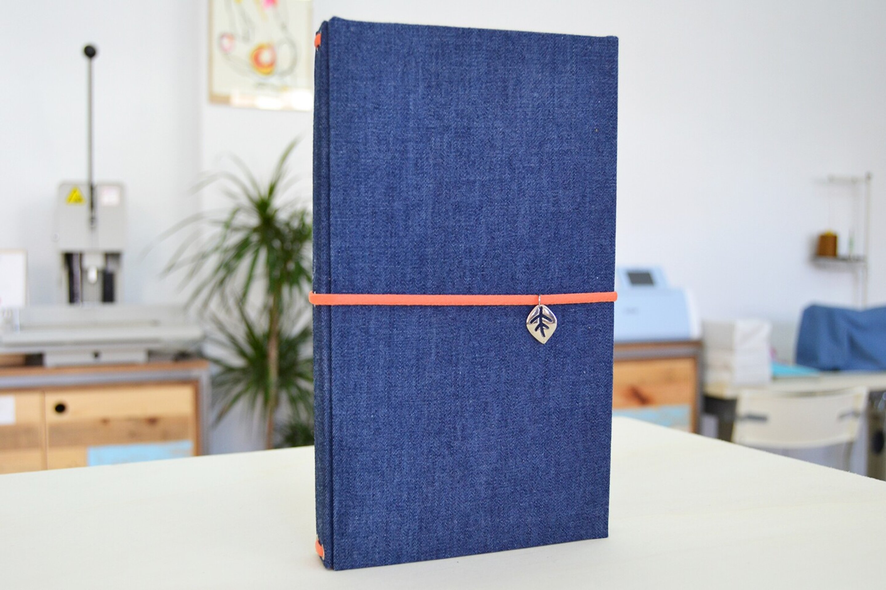 Journal vaquero - 7