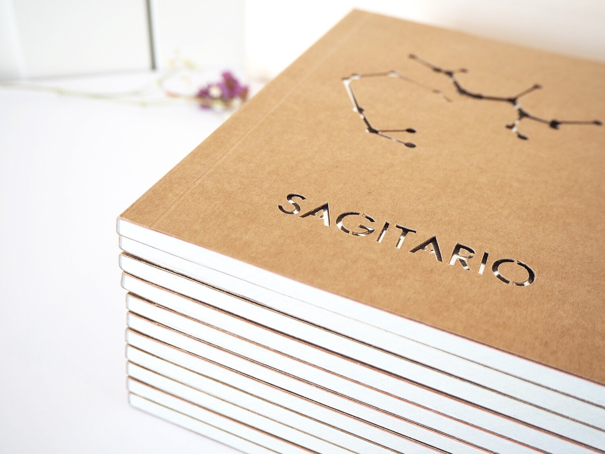Libretas constelaciones - 15
