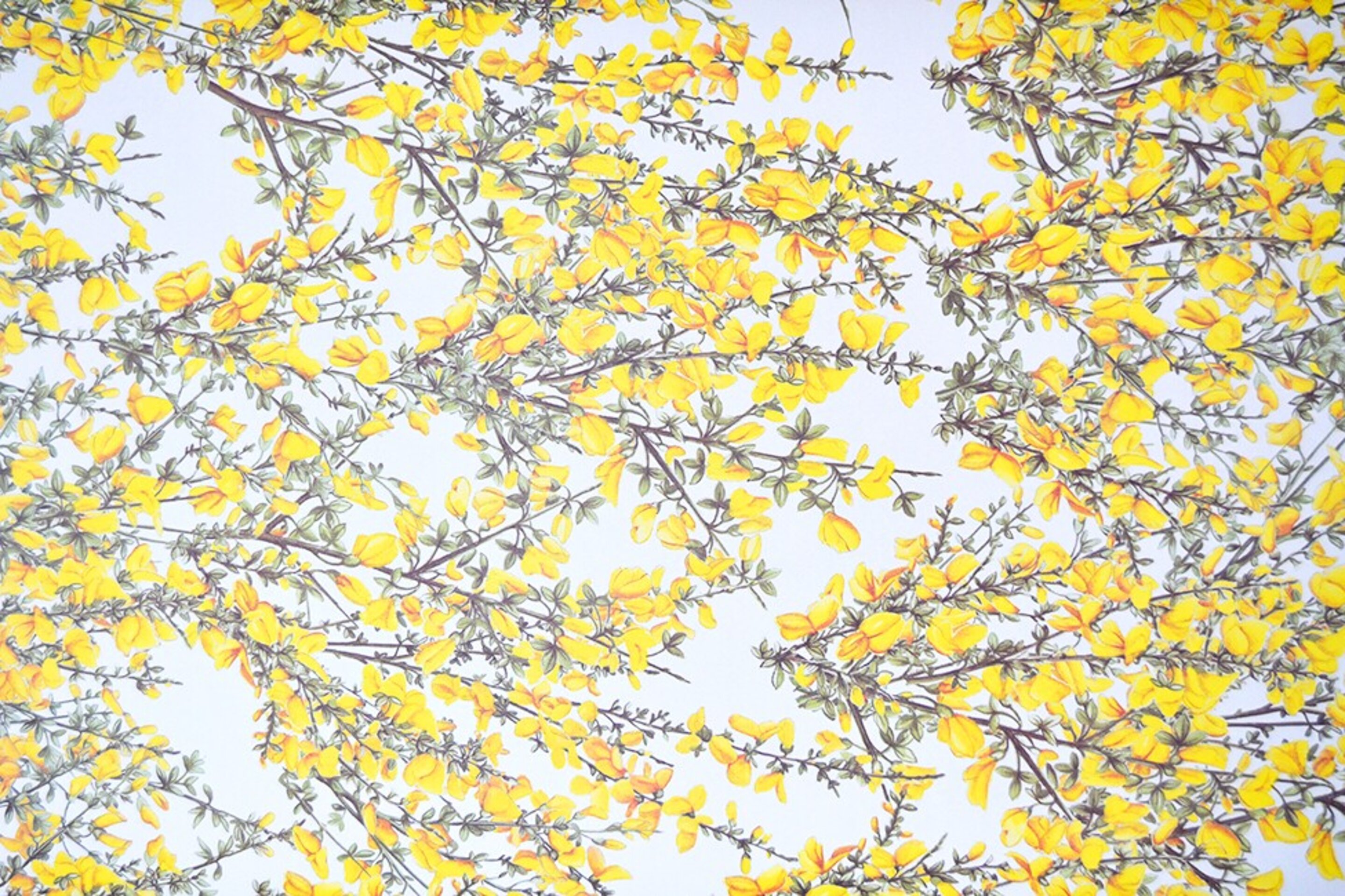 Papel Flores Amarillas - 2