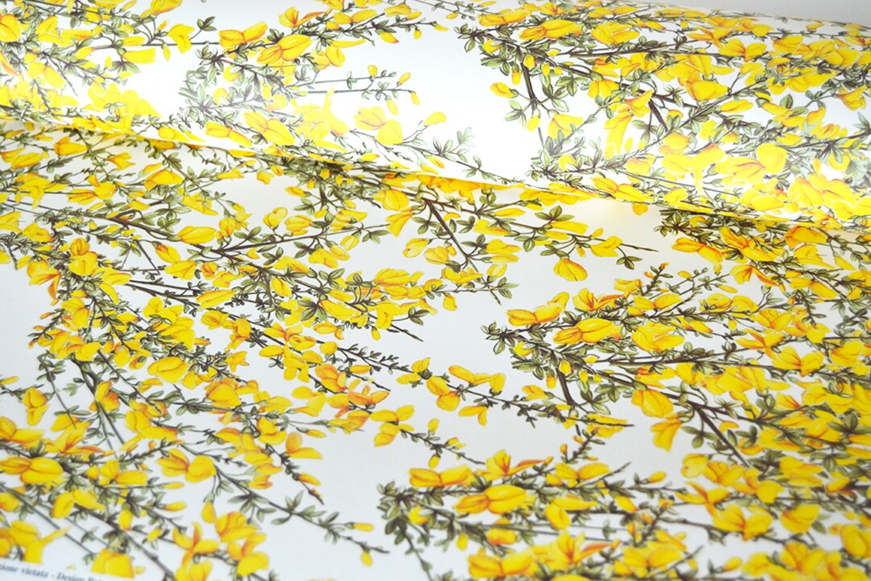 Papel Flores Amarillas - 3