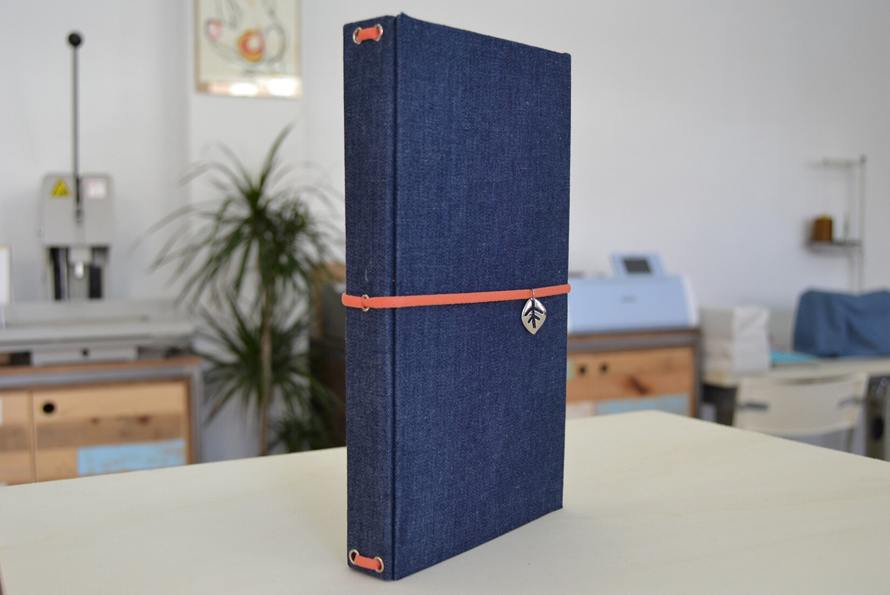 Journal vaquero - 5