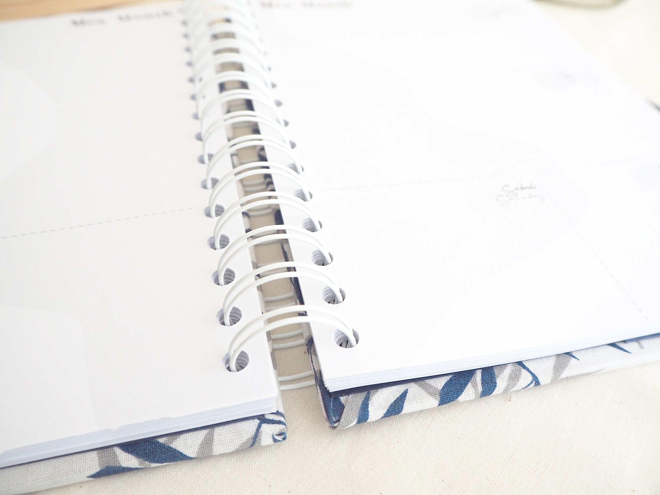 Agenda Hojas Azules - 4