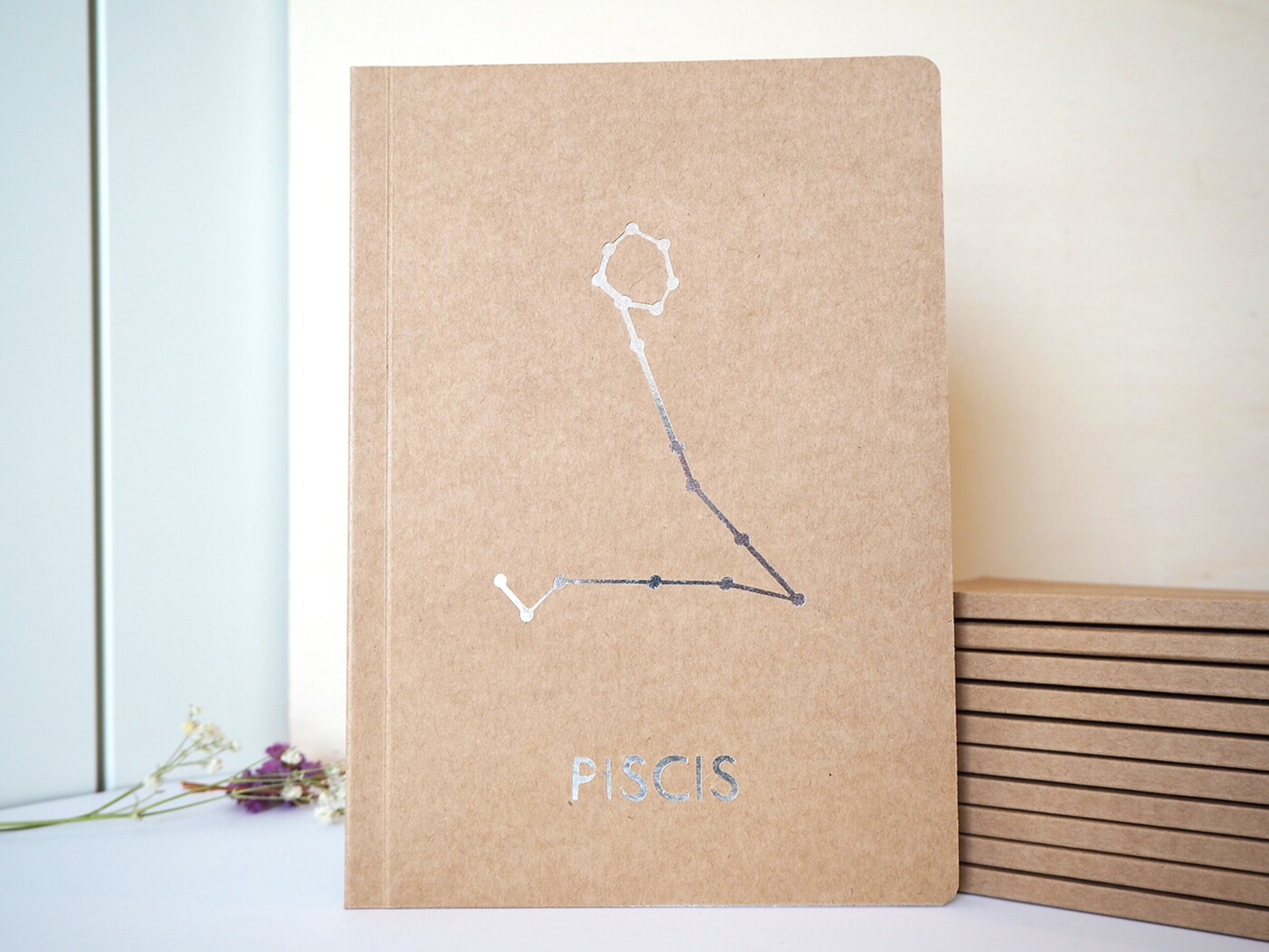Libretas constelaciones - 6