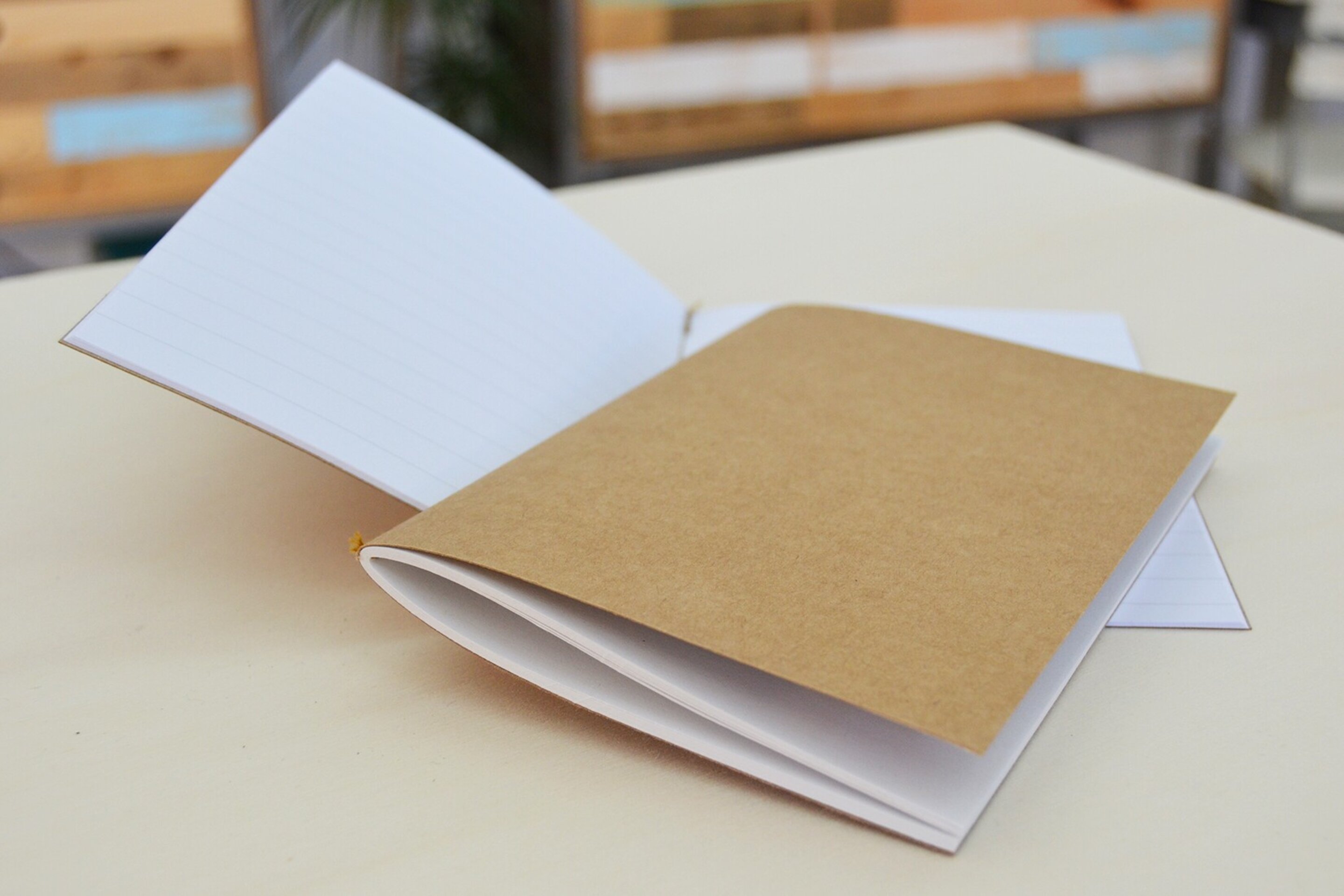 Journal vaquero - 6