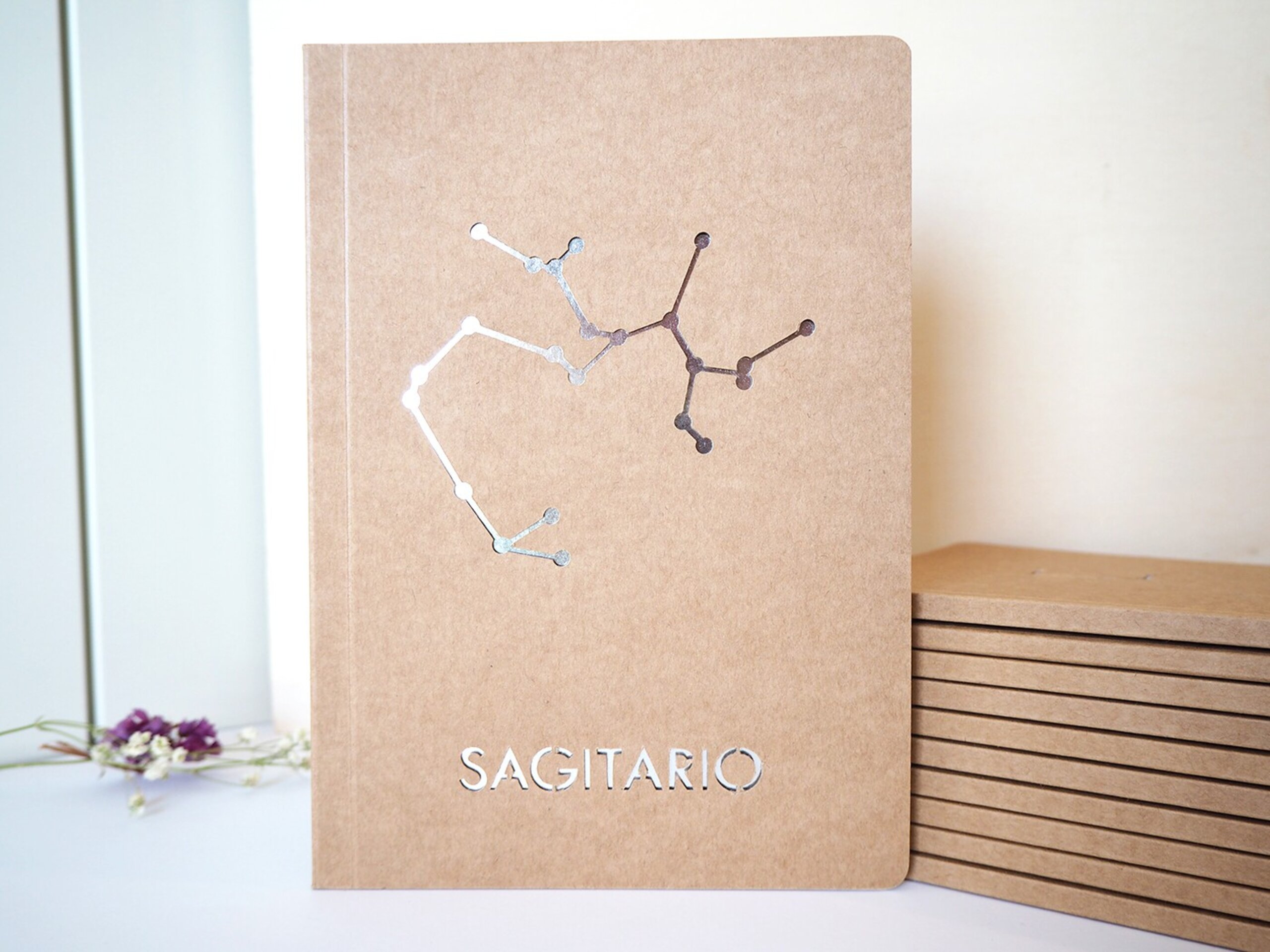 Libretas constelaciones - 12